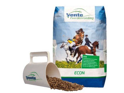 VENTE PAARDENBROK ECON